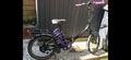 Raleigh Stow-E-Way Folding Bike