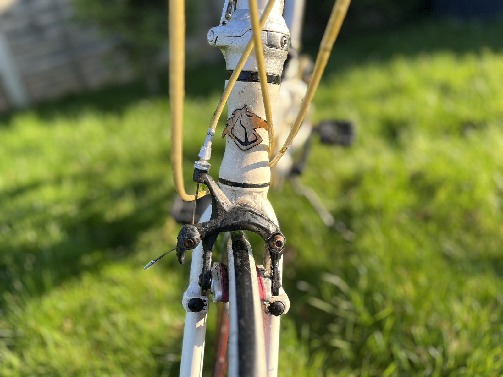 Dahon Folding Bike Ready to Ride