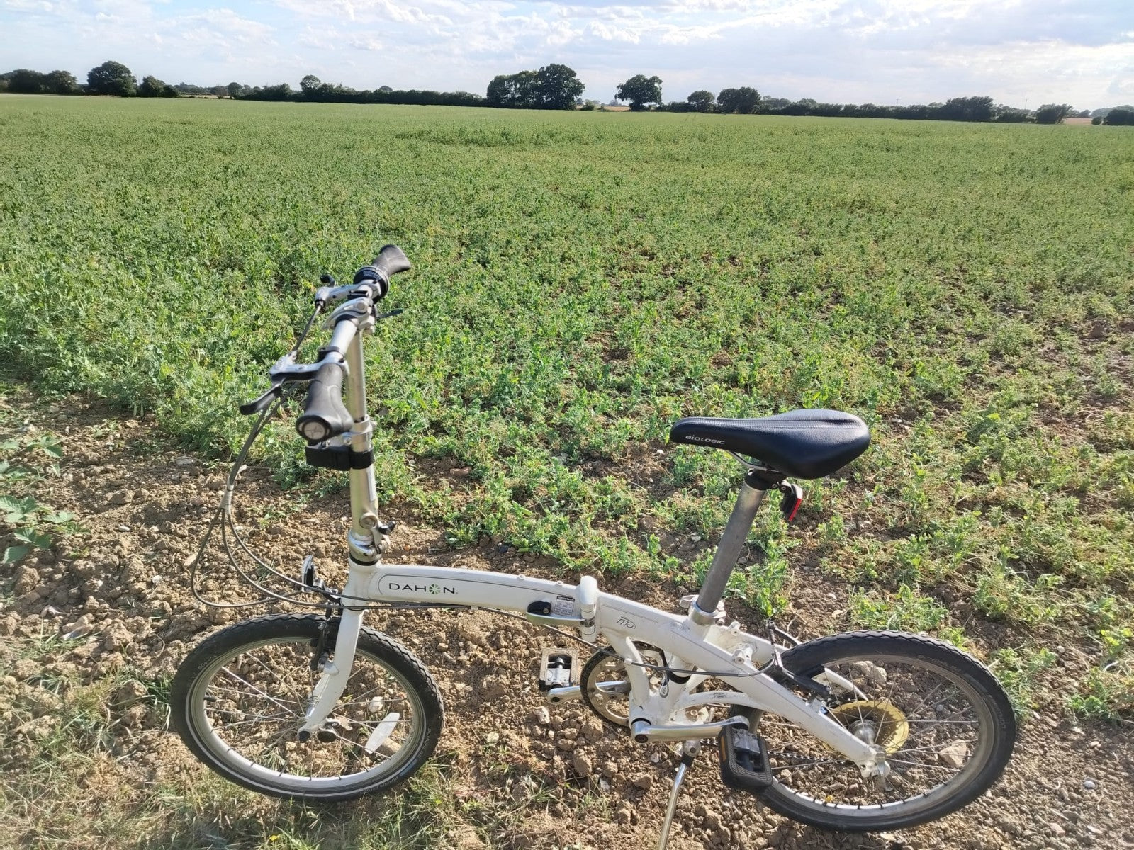 Dahon Mu P8 Folding Bike Cycle White Aluminium Frame 8 Speed 20" Wheel Serviced