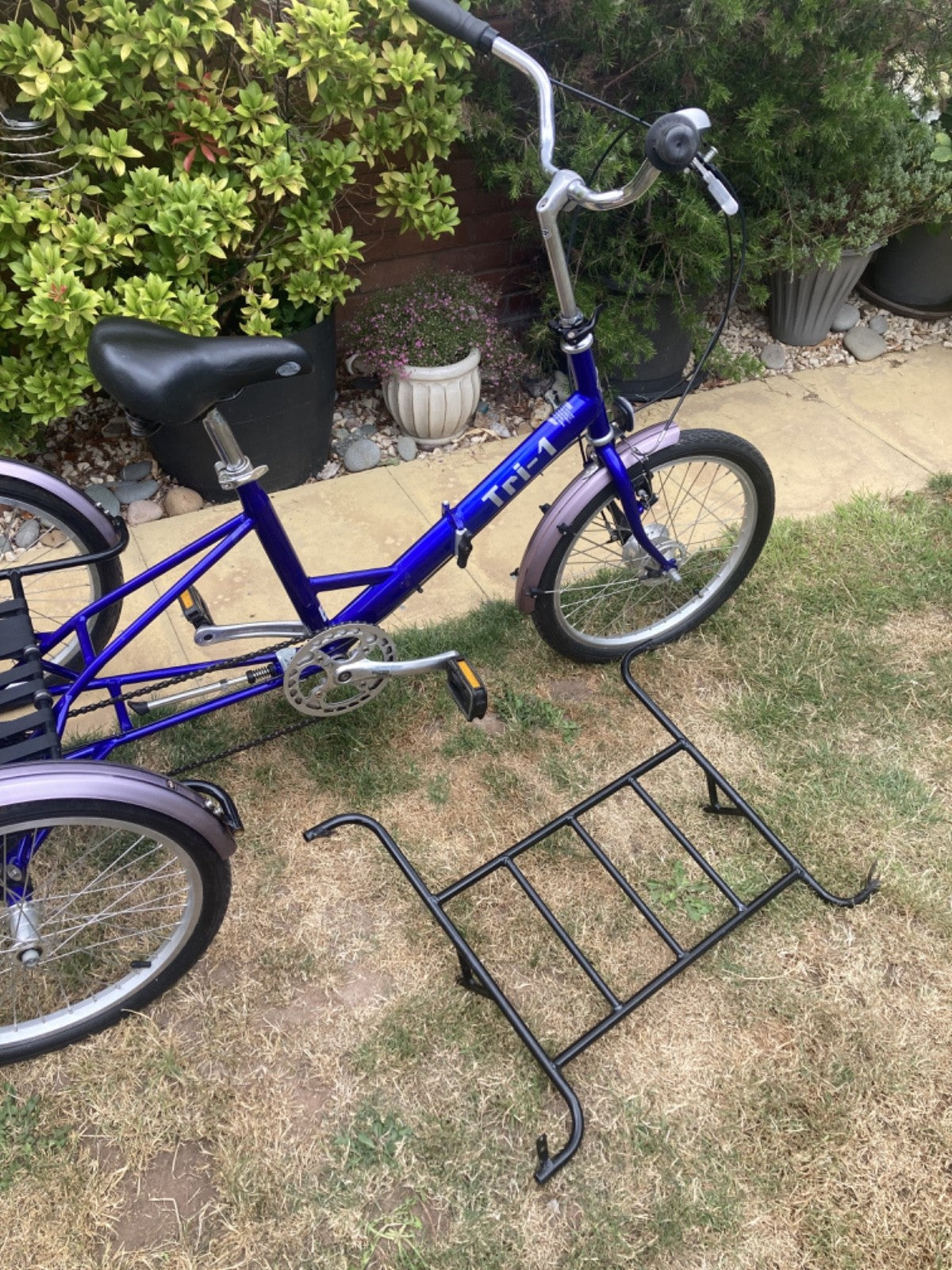 PASHLEY - Tri-1 Folding Adult Trike Blue