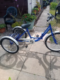 Viking Adult Folding Tricycle  6 Speed Shimano Gears Large Dog Child Cat Basket