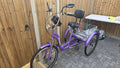 Scout Trike Bike Foldable With Rear Basket
