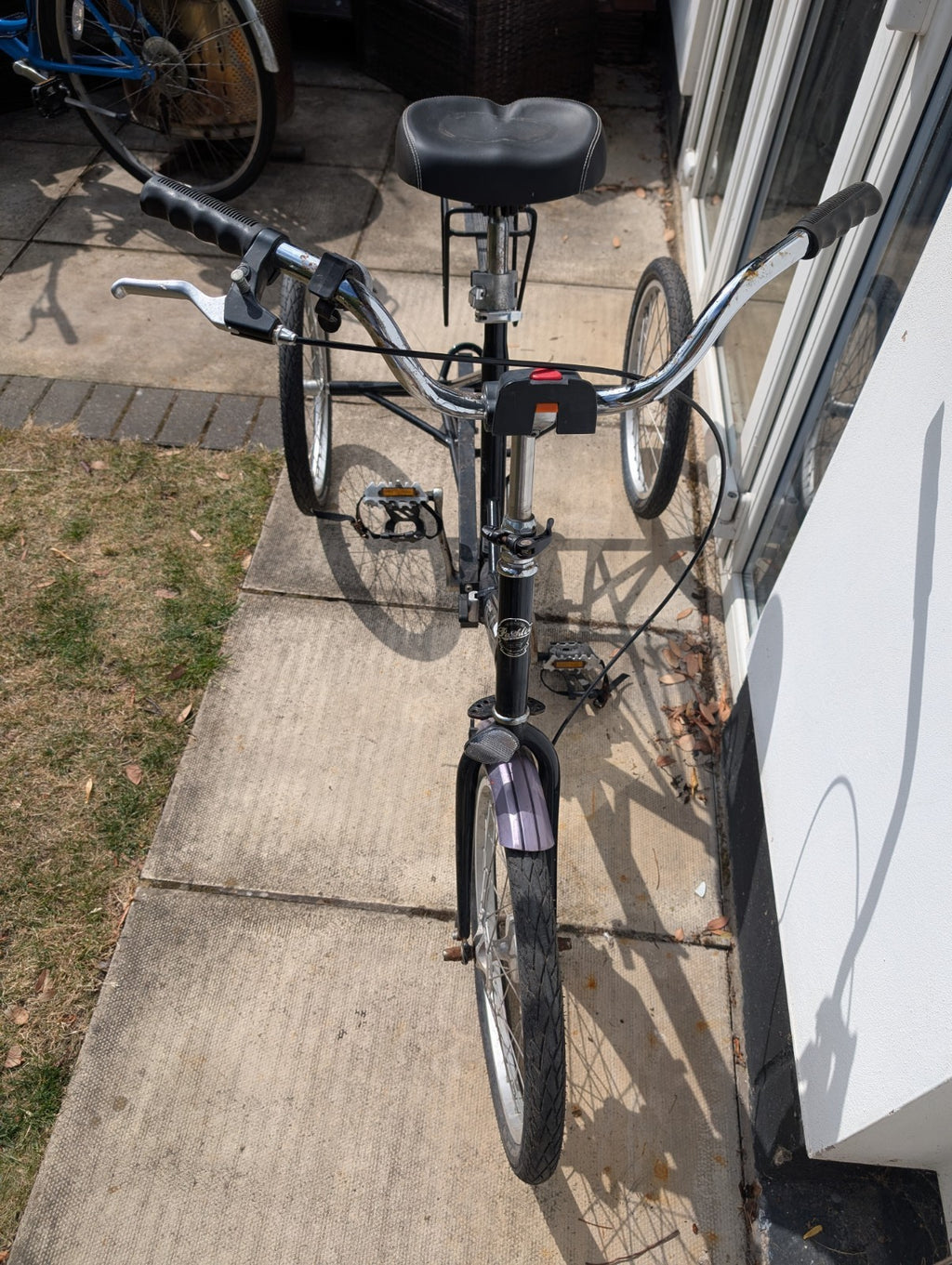 Paisley Adult Folding Fixed Wheel Trike Bike