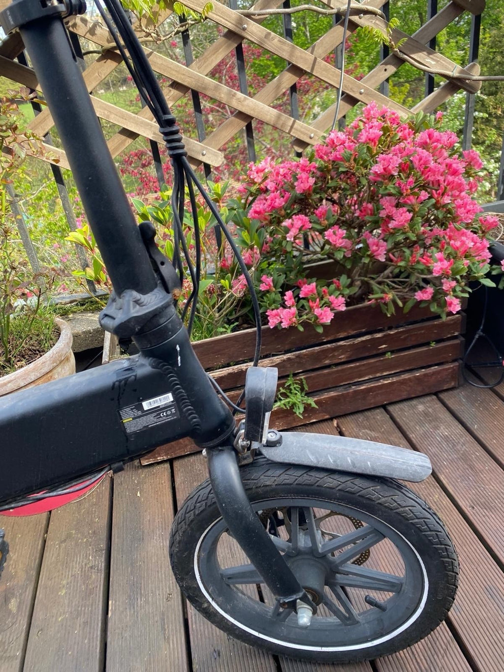 Whirlwind Foldable Bike 14in Black 250W 25km/h Mechanical Disc