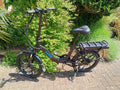 Ampere Alter Low Step Folding Bike  With Accessories