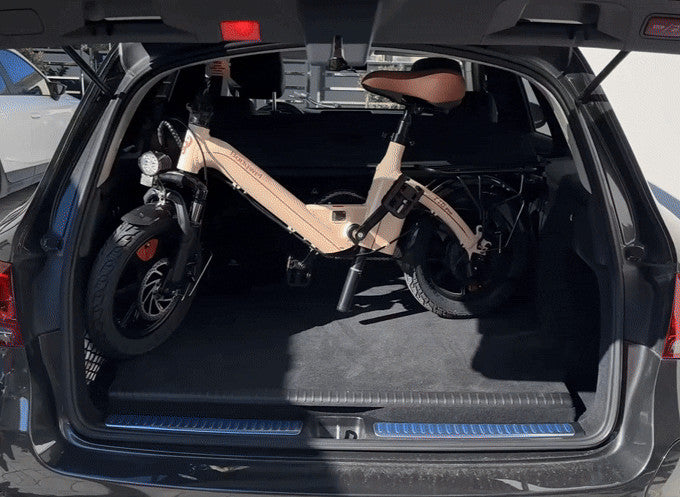 14" All-Terrain Folding commuter bike,21kg, 36V 10Ah,25KM/H,Full Disc,Rack-T16BL