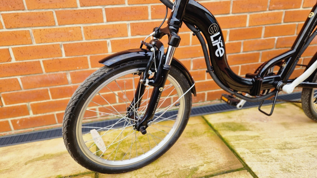 Elife Explorer 20 36v 250w Folding Bike 20inch Wheel