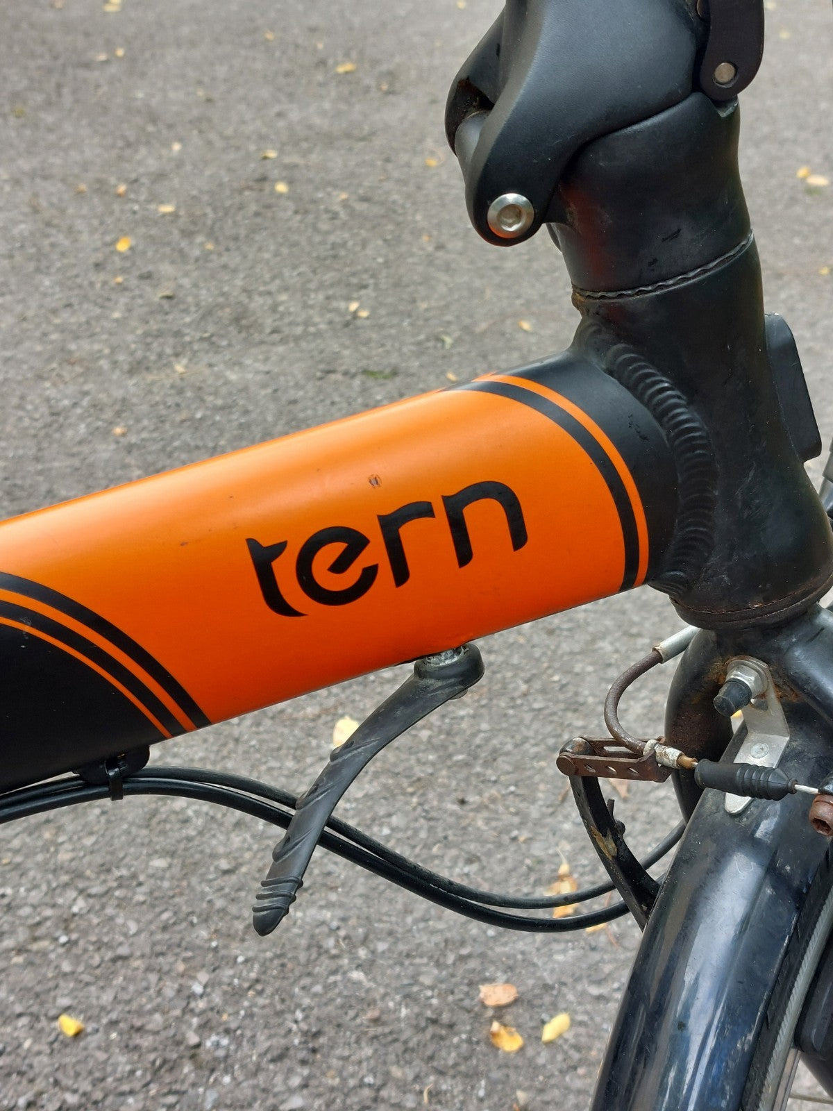 Tern Link D8 Folding Bike