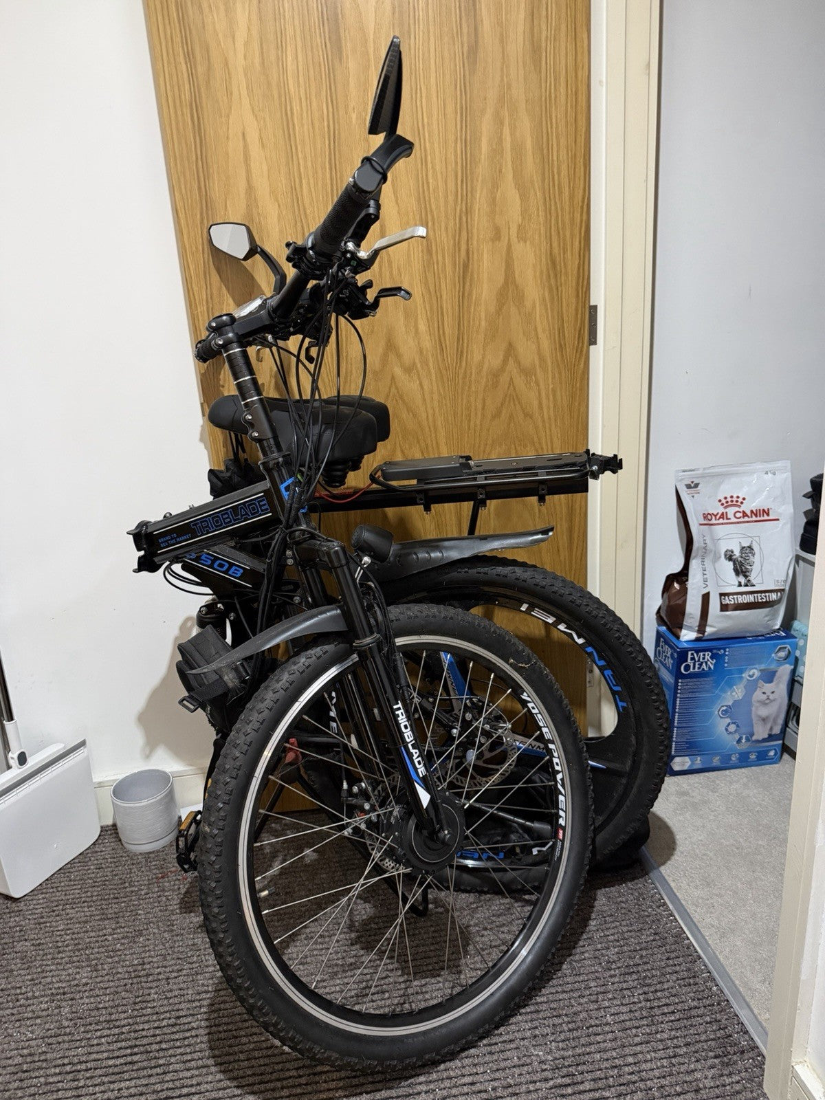 Trioblade Folding  Bike – 250W Motor – 36V 13Ah Battery