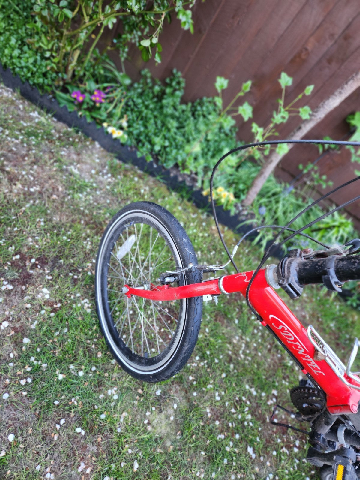 Folding Bike