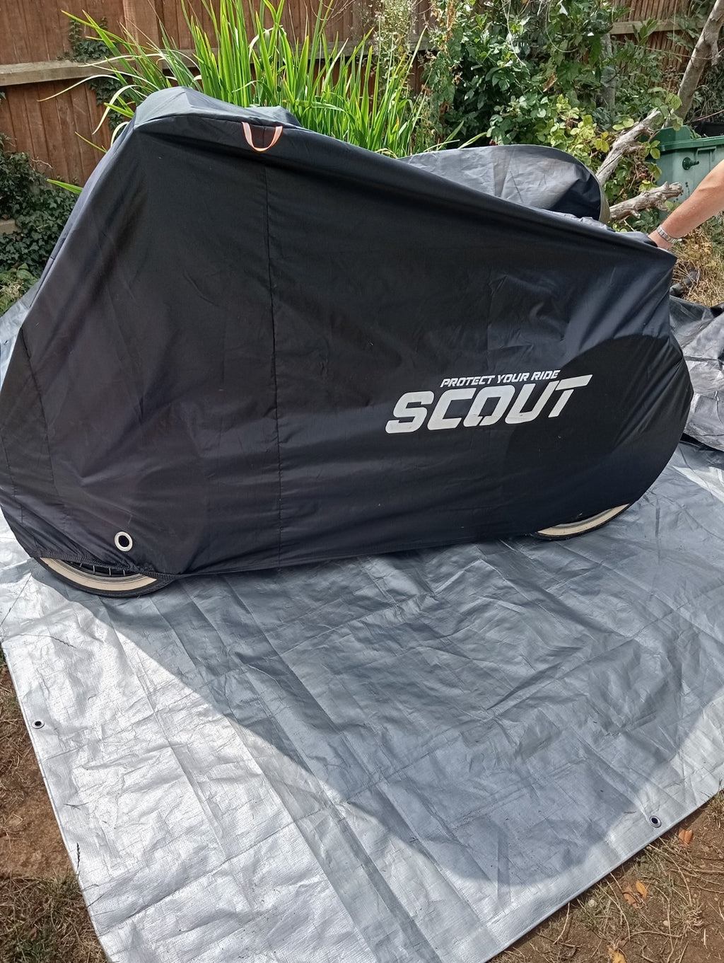Scout Adult 24" Folding Tricycle