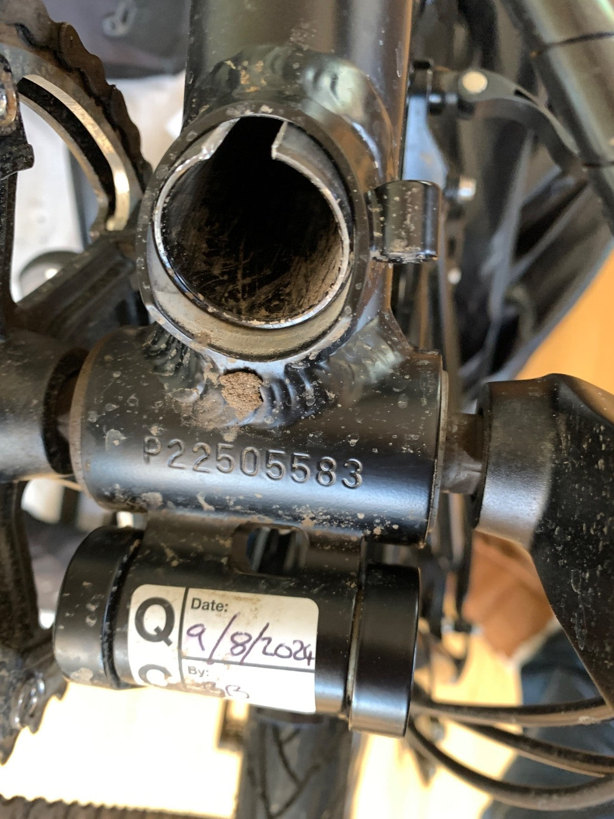 2024 Airnimal Joey Custom Adventure Plus - Folding, Rohloff Hub and Son28 Dynamo