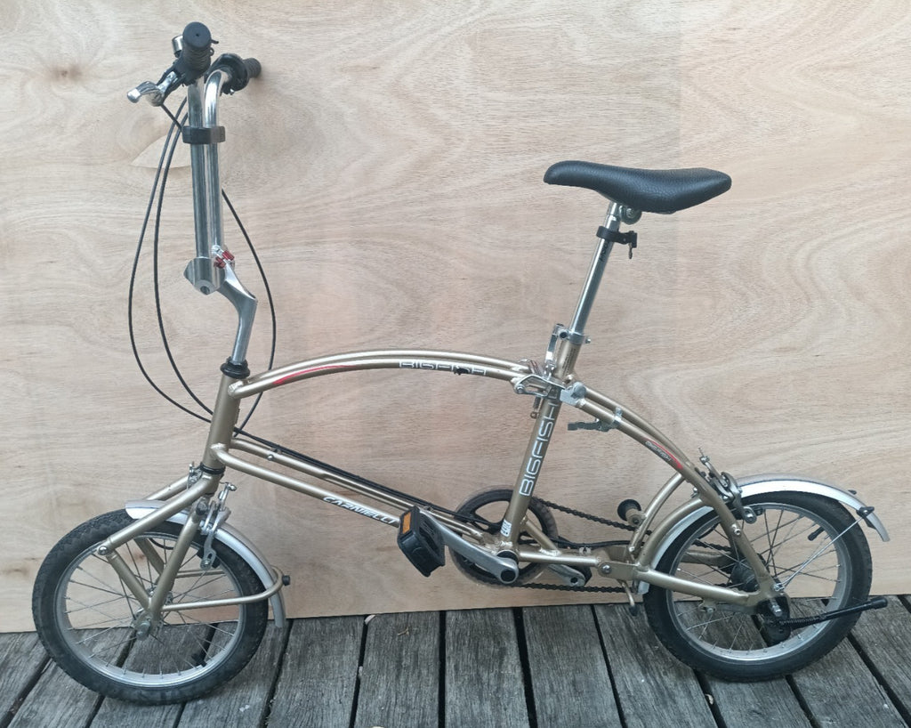 Computer Bike Carnielli Bigfish folding bike