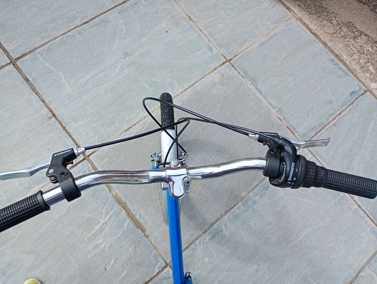 Raleigh Folding Bike 20-inch Wheels