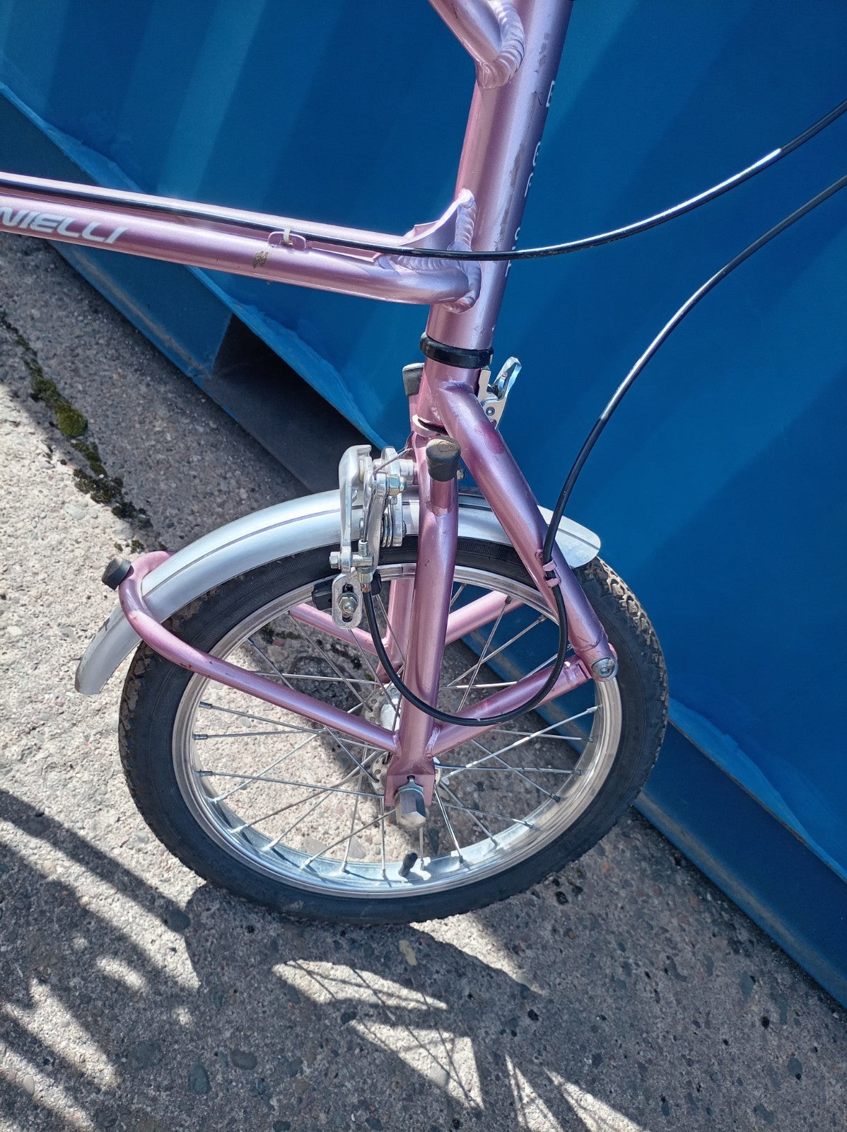 big fish carnielli folding bike