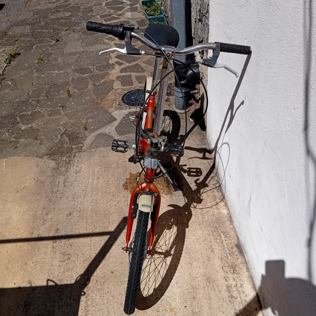Philips Adult Fold Up Bike Folding Bicycle