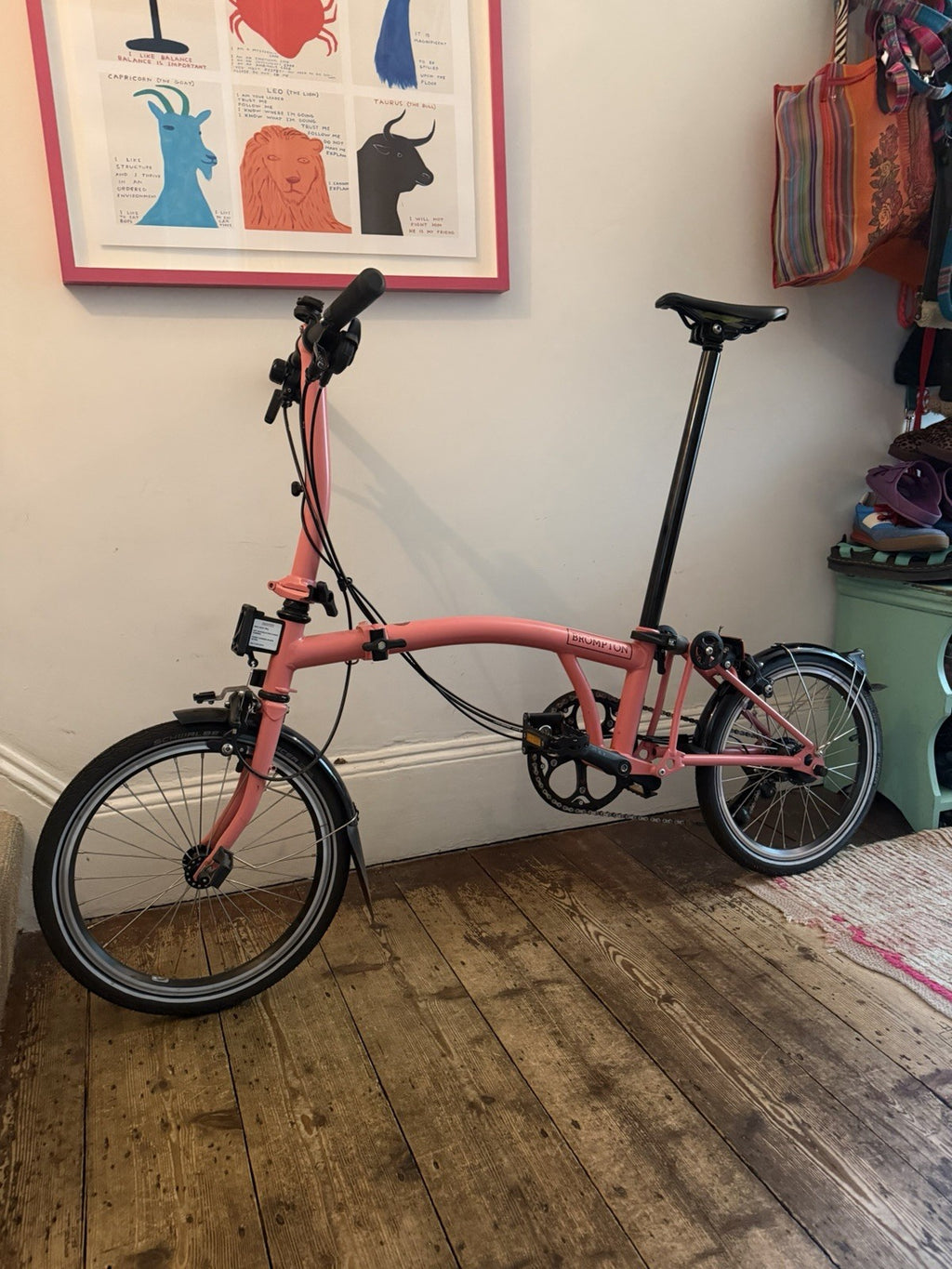 Brompton C line 12 speed 2025  Flamingo Pink