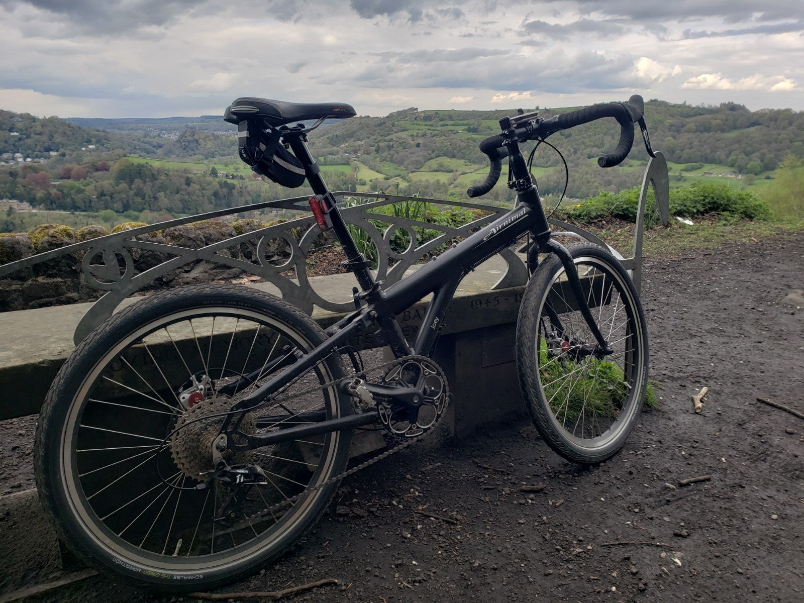 Airnimal Joey,  Very good Condition,  Sram Apex 1 X 11 ,