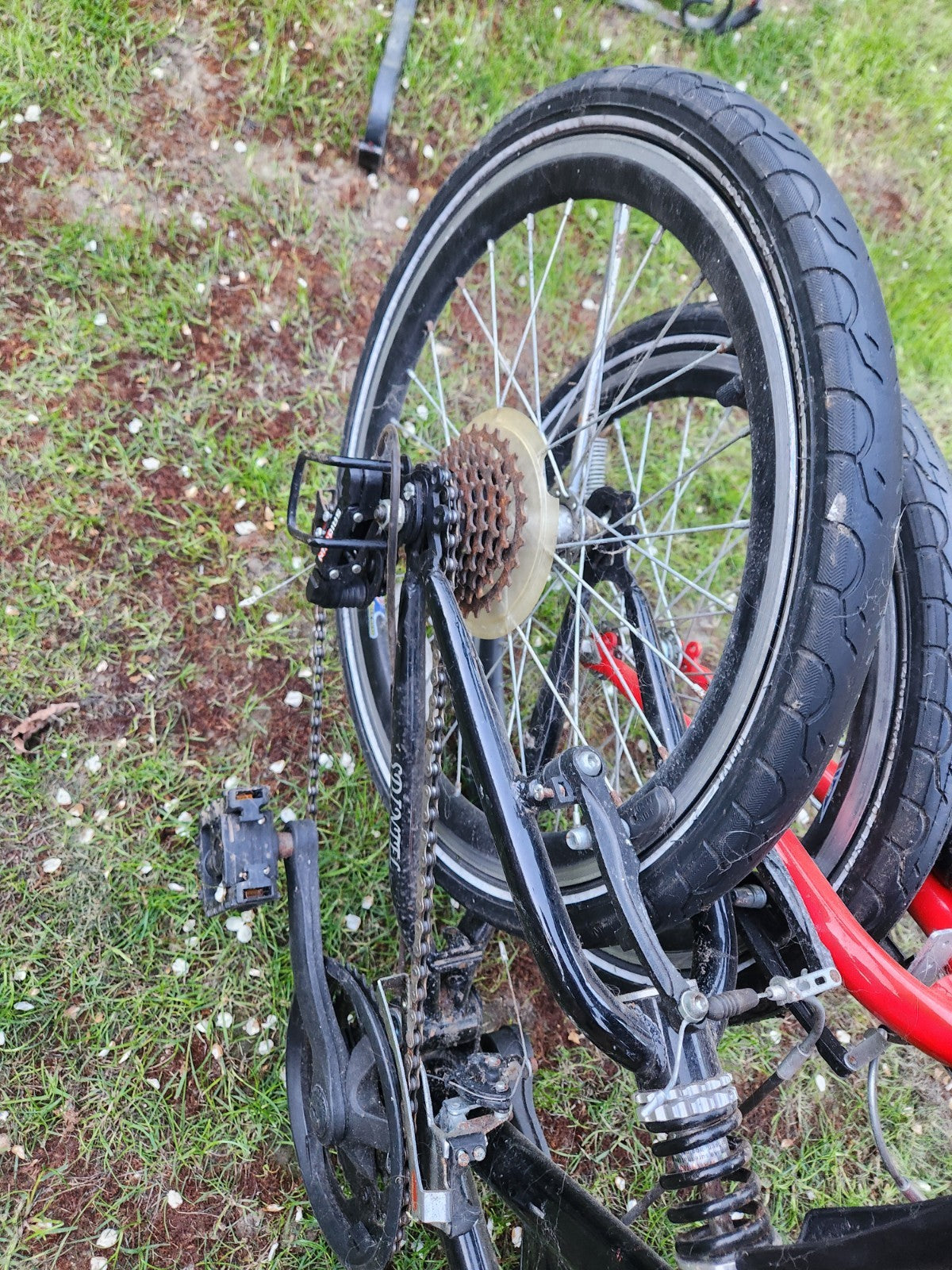 Folding Bike