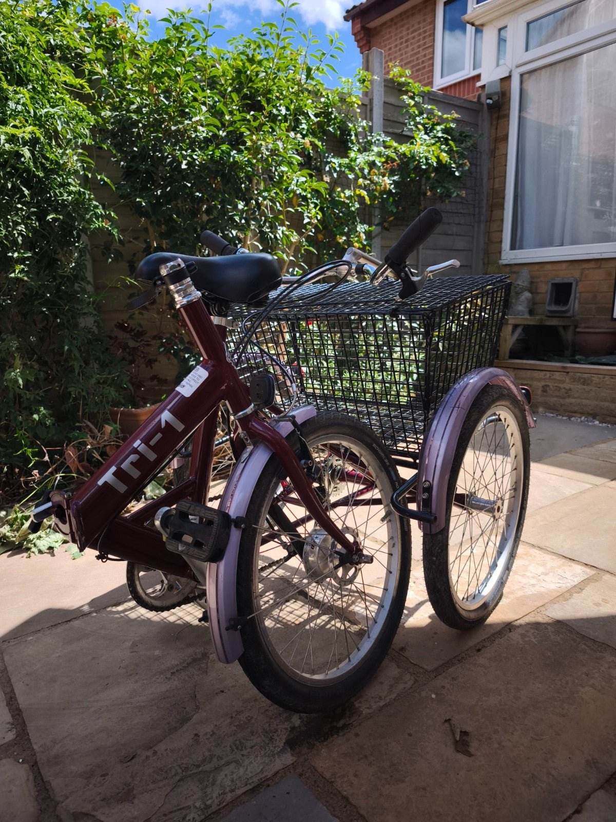 Adult Folding Pashley  Tricycle Tri-1 Burgandy 17" frame, good condition