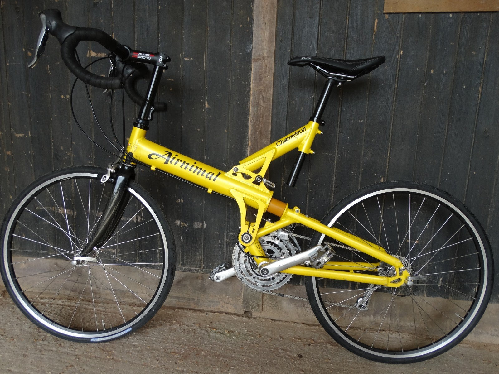 Airnimal Chameleon Folding Bike 24" Wheels medium frame, 27sp updated, new parts