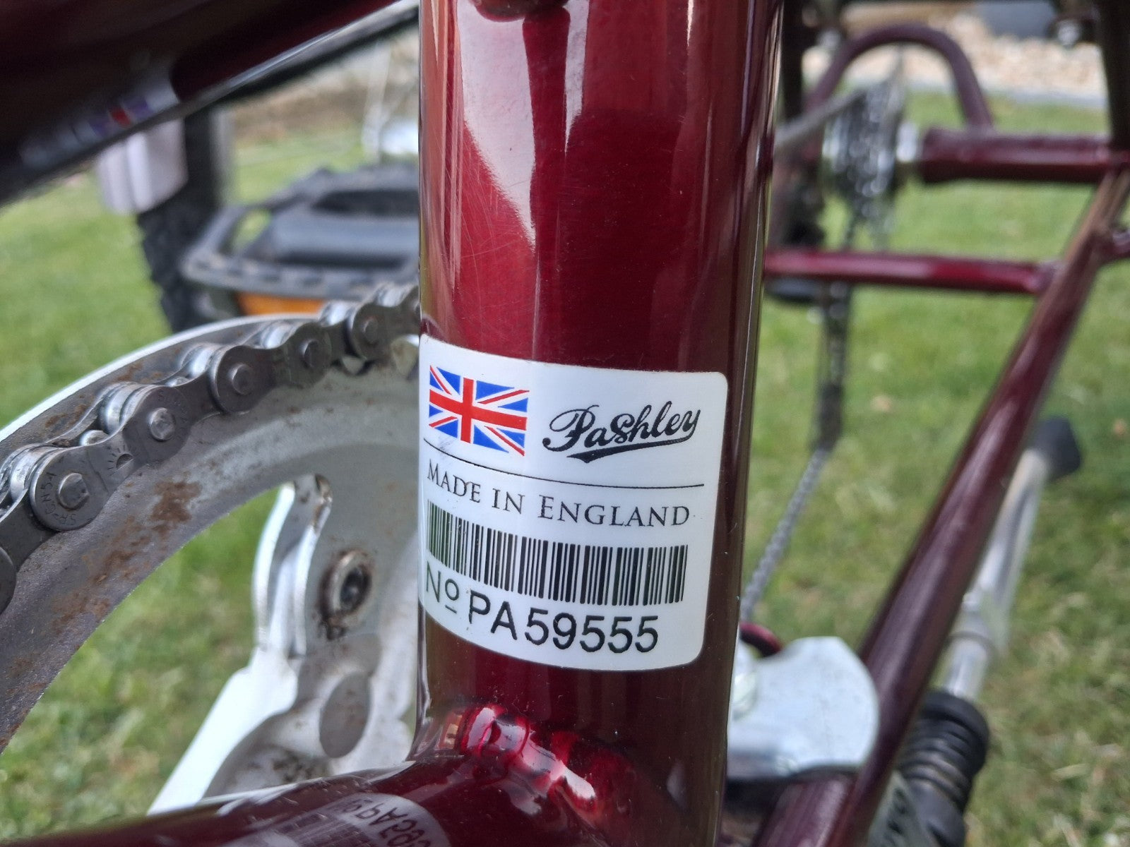 PASHLEY - Tri-1 Folding Adult Trike Burgundy Red