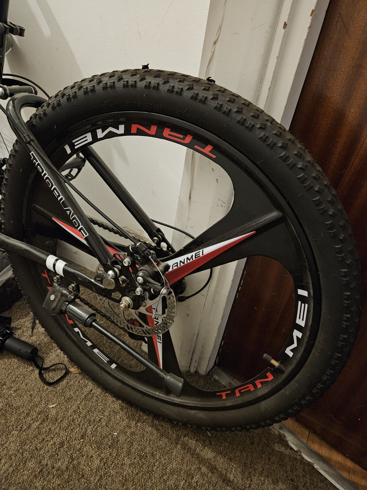 Tanmei Foldable Mountain Bike