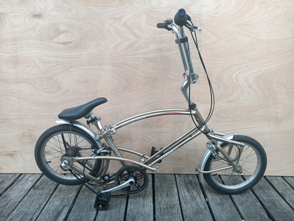 Computer Bike Carnielli Bigfish folding bike