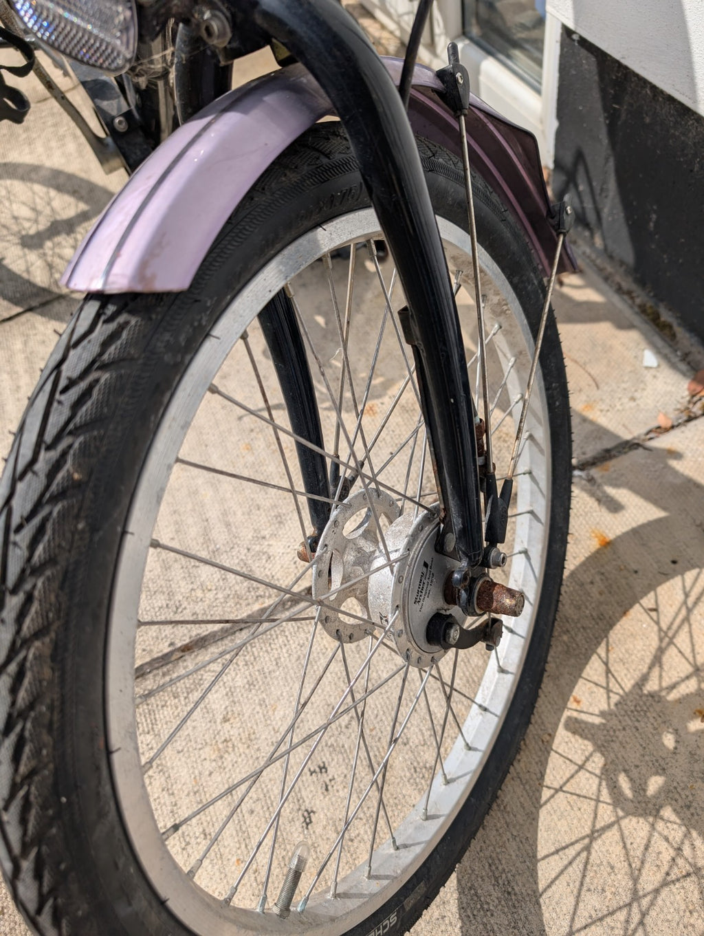 Paisley Adult Folding Fixed Wheel Trike Bike