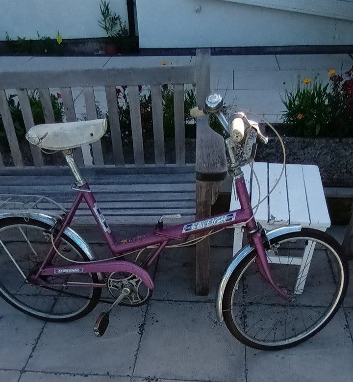 Raleigh Stoway Bike