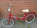 folding bike, 3 speed, 20 inche wheels