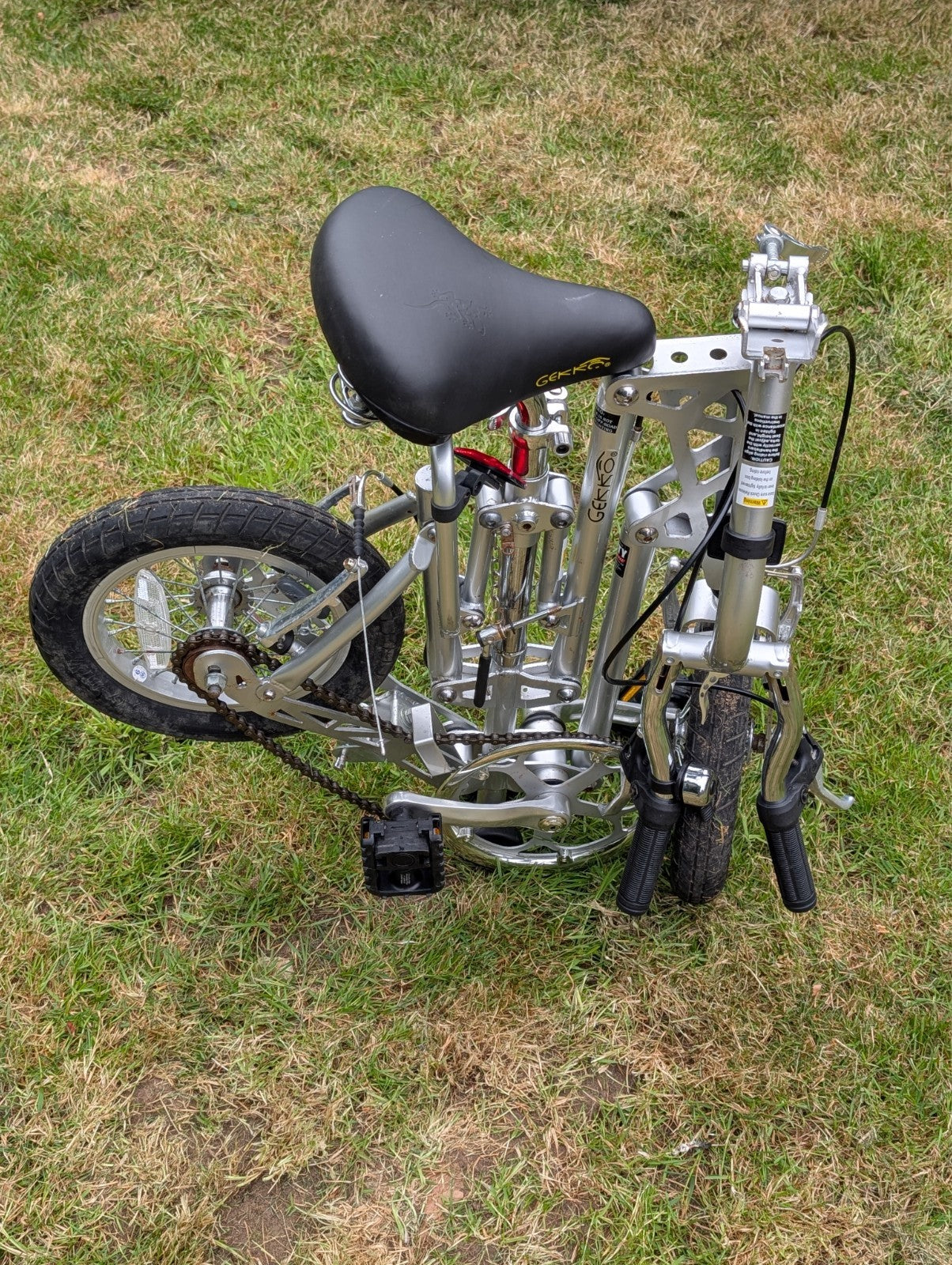 Gecko folding bike
