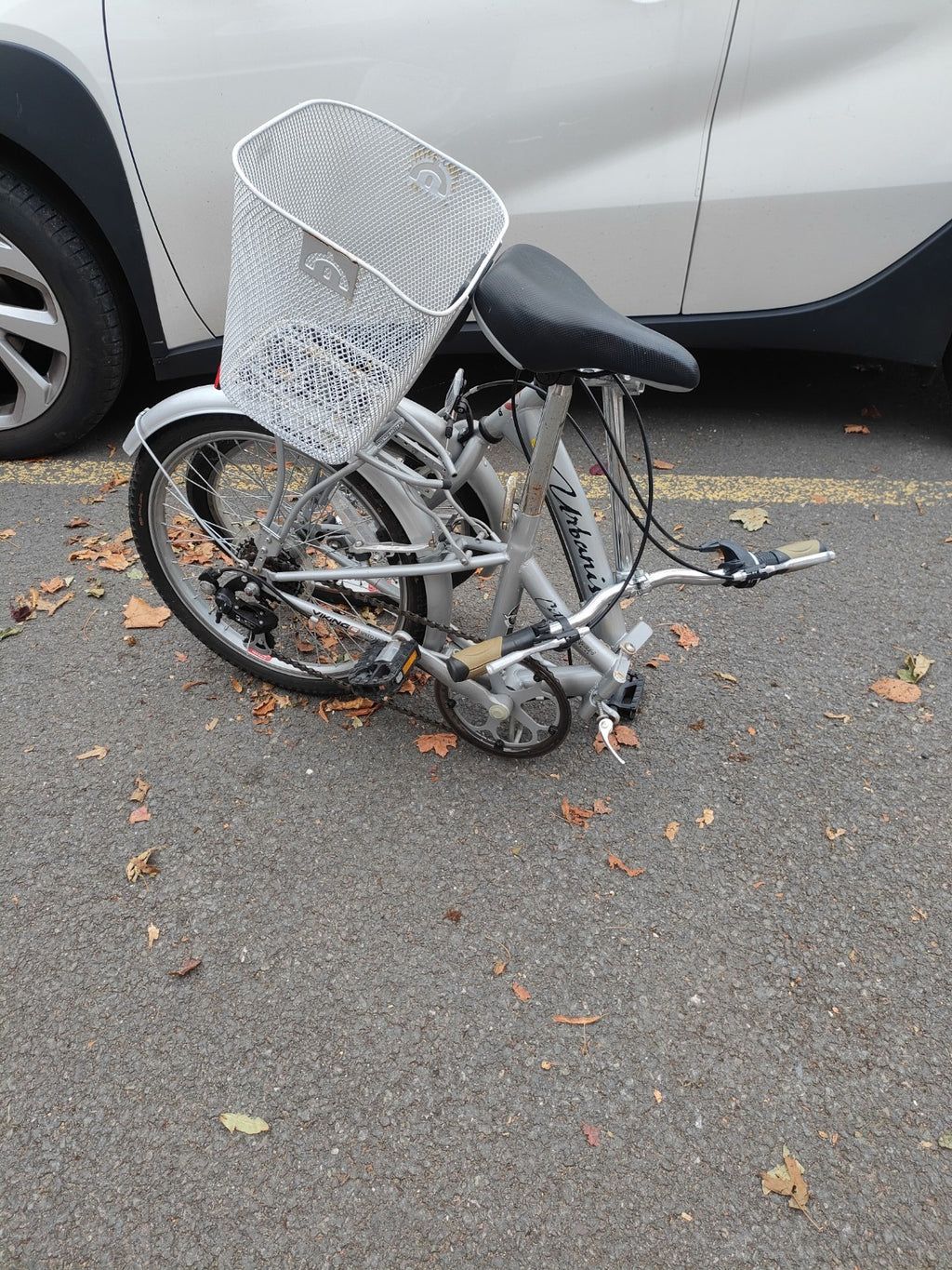 Folding Bike