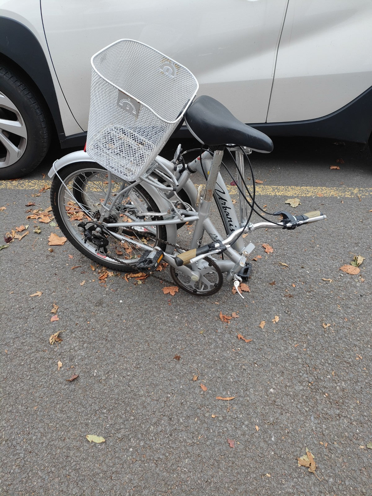 Folding Bike