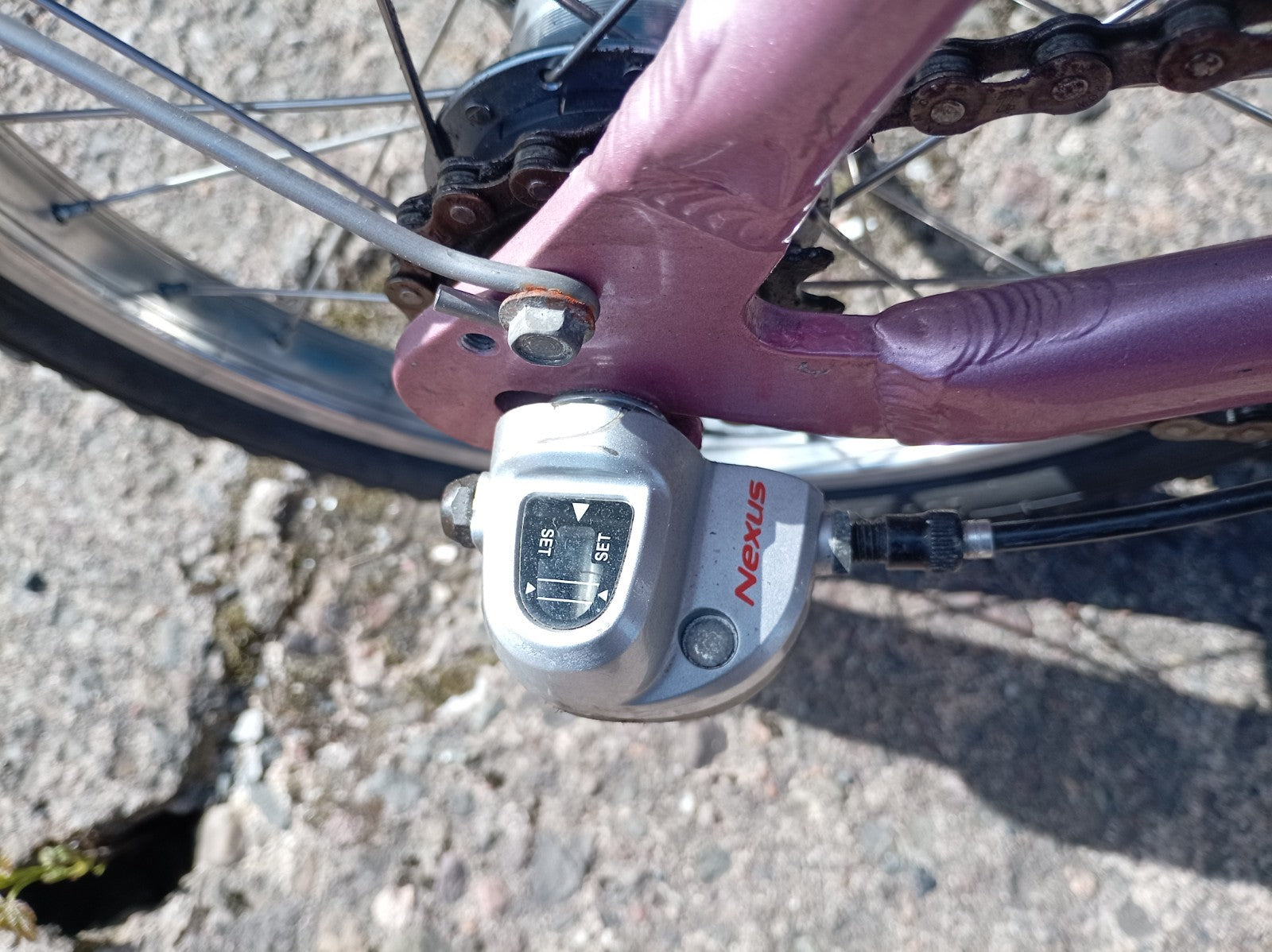 big fish carnielli folding bike