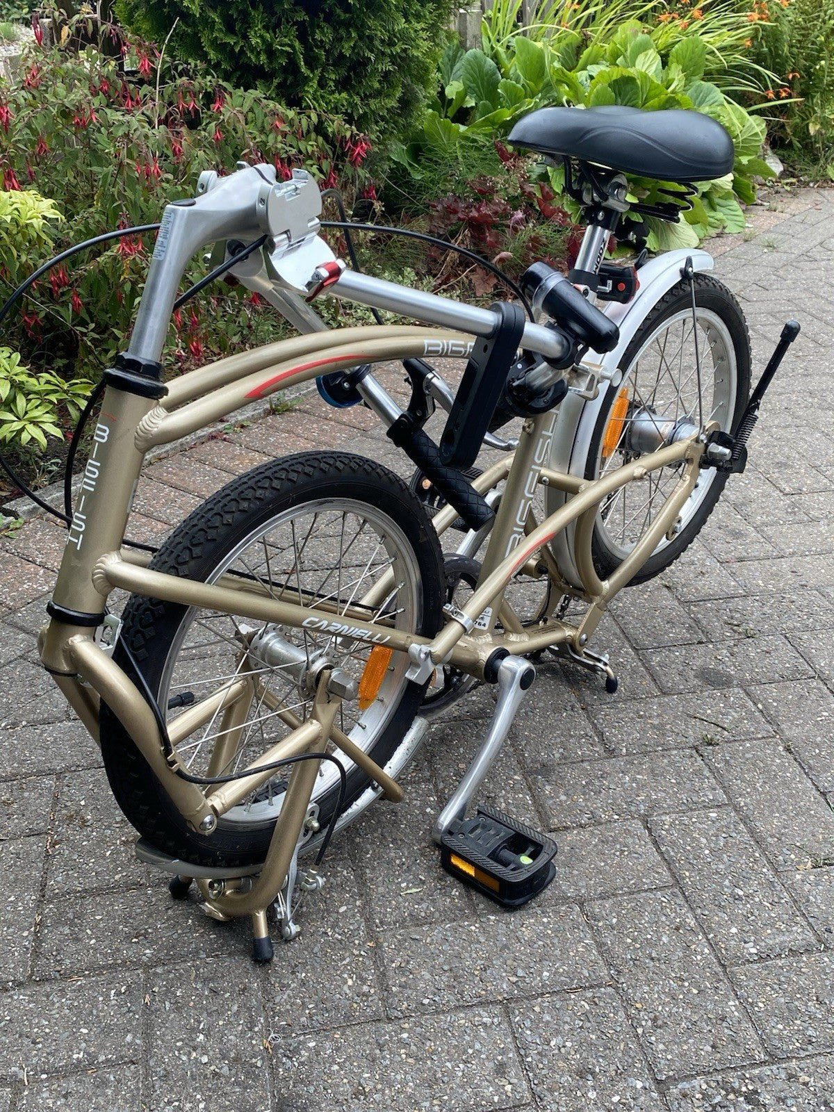 Bigfish Carnelli folding bike