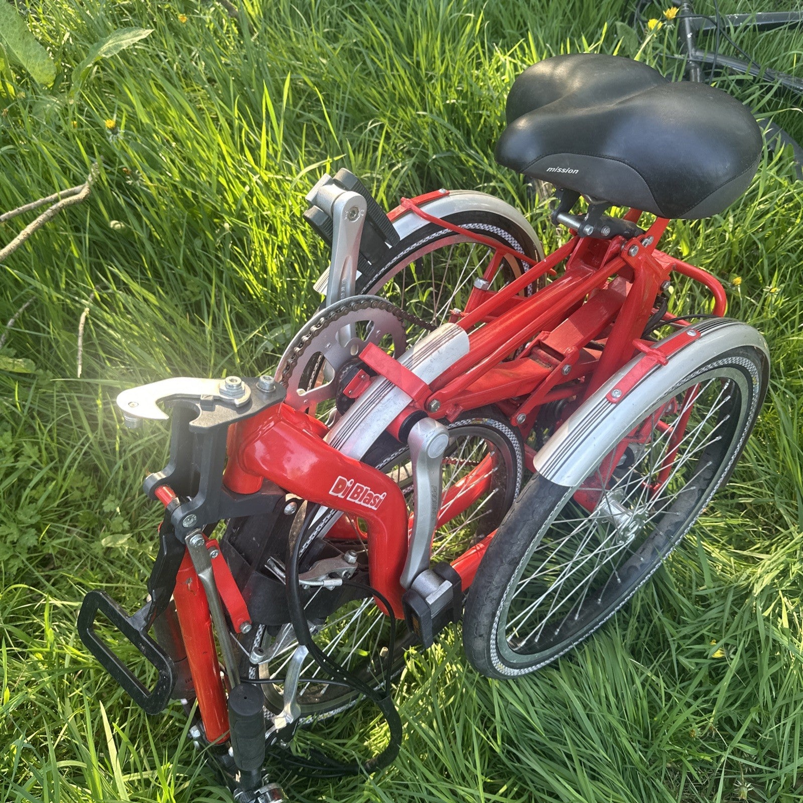 Di Blasi R34 Adult Folding Tricycle