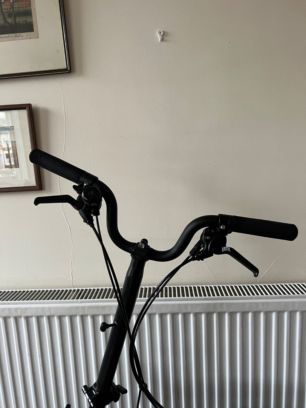Bromptom P Line 12 speed Medium, high handle bar, roller rack, metallic black