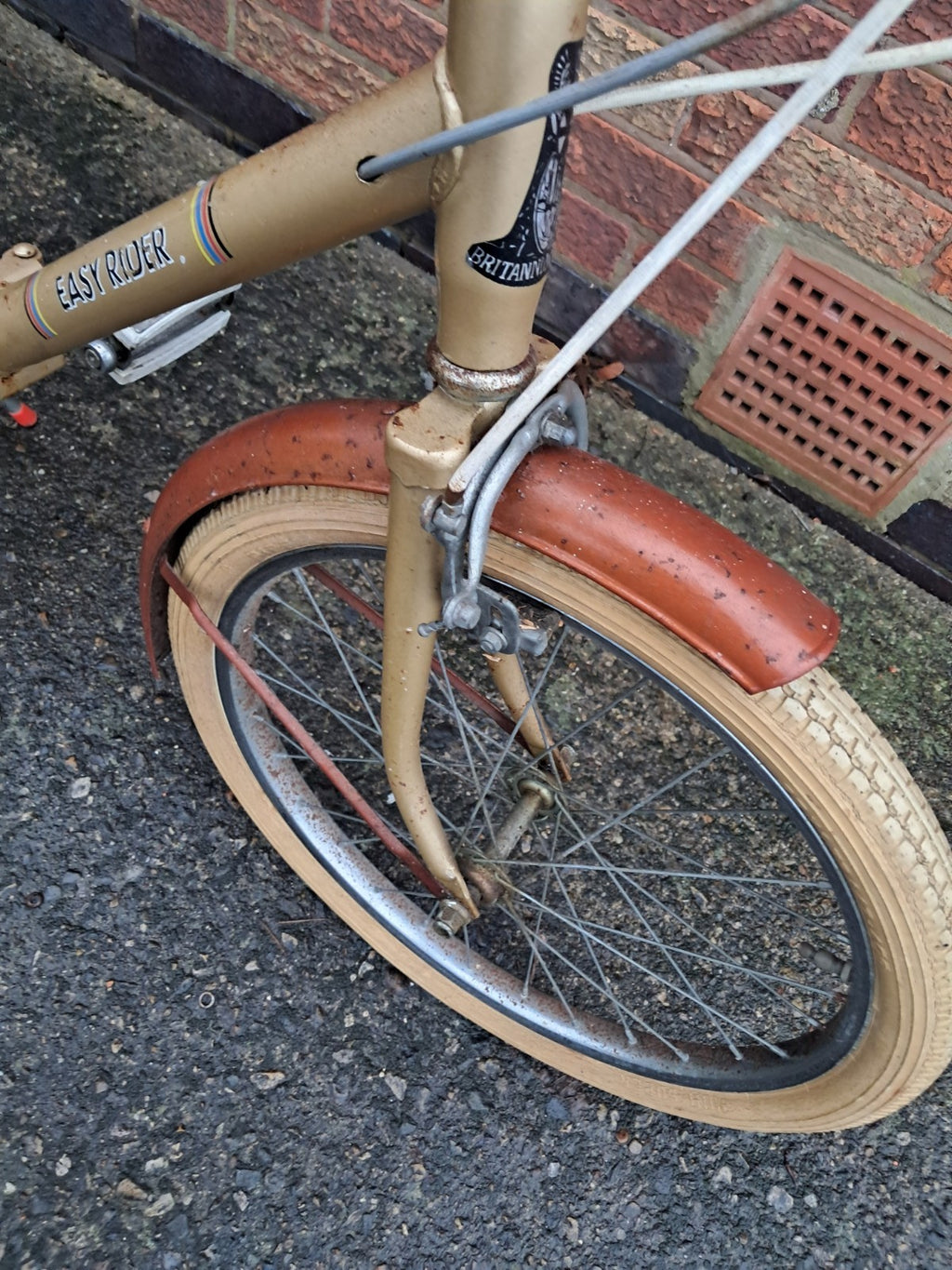 Adults Retro 1979  Easy rider folding cycle 20inch Wheels, Shopper Style
