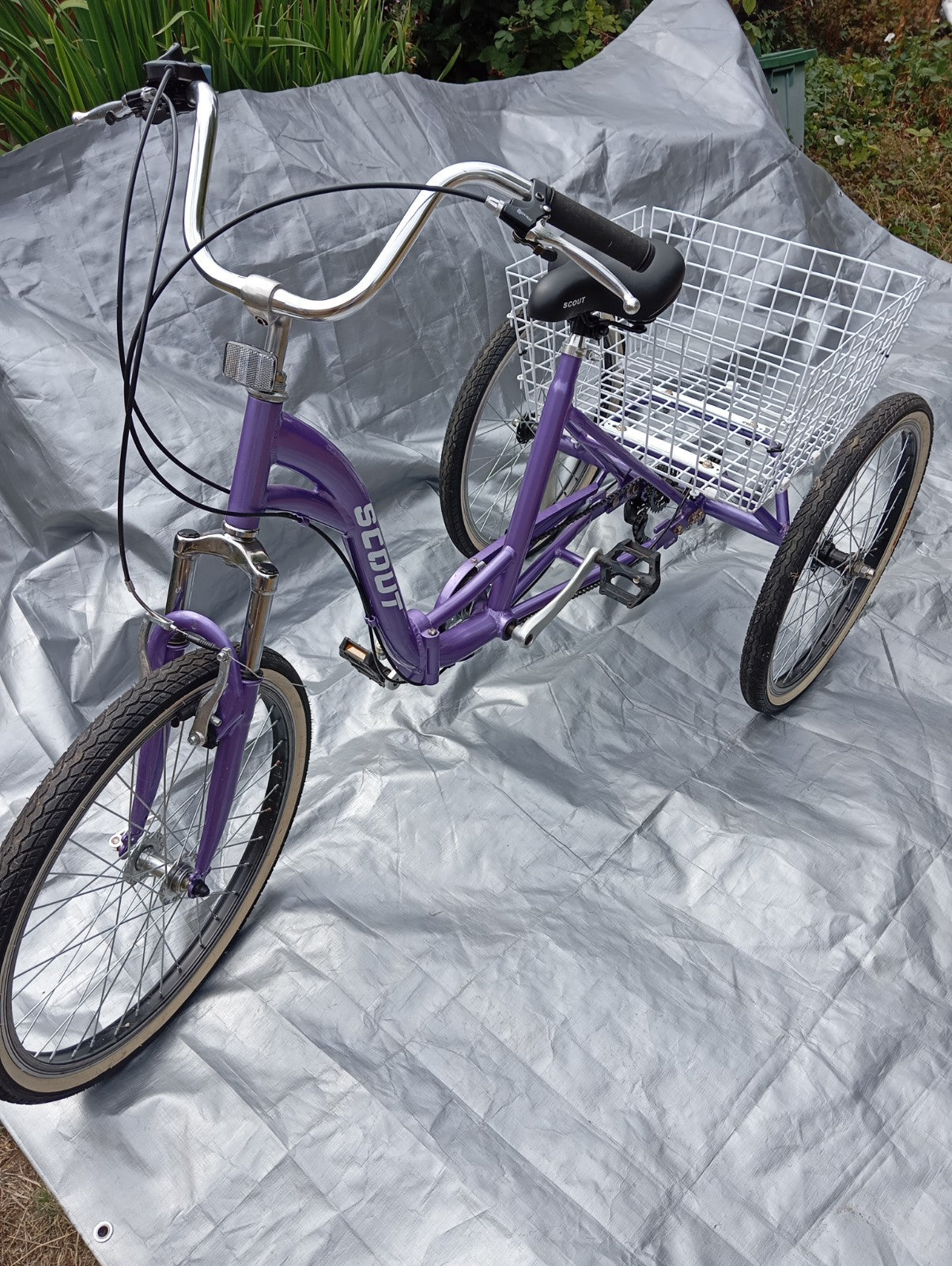 Scout Adult 24" Folding Tricycle