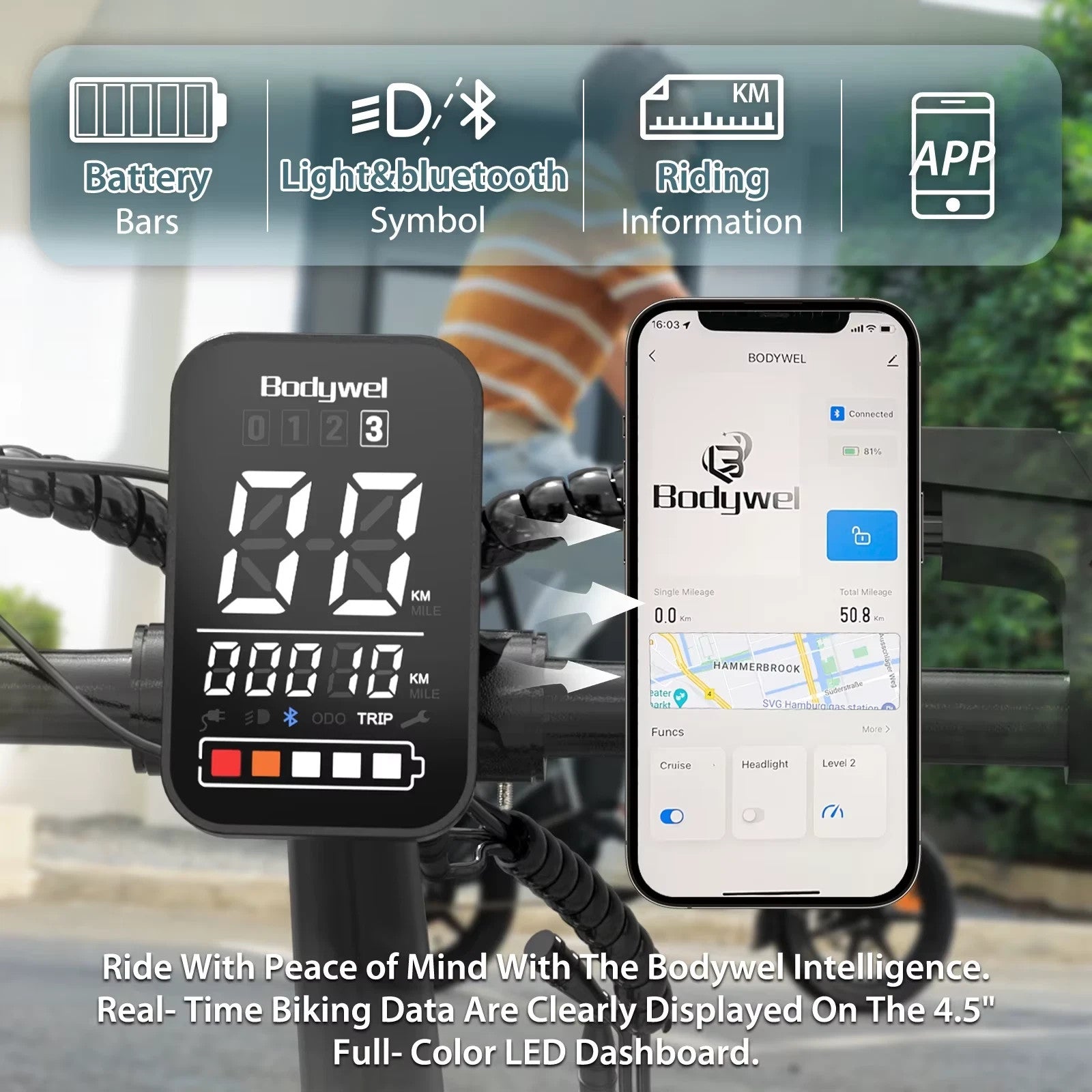 14" All-Terrain Folding commuter bike,21kg, 36V 10Ah,25KM/H,Full Disc,Rack-T16BL