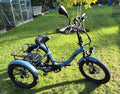 Fafrees F20 Mate  20" Tricycle, Folding Trike 3 Wheel. Adult trike