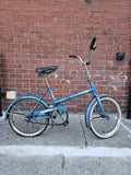 Raleigh Twenty Shopper Fold Up Bike Frame 20" Wheels Made In Poland