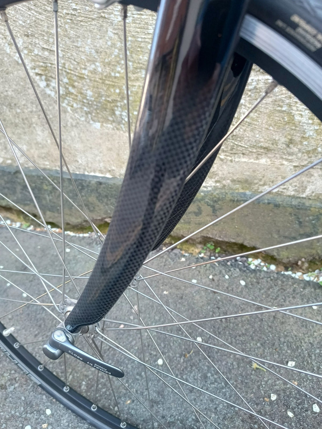 Airnimal Chameleon folding bike Shimano Ultegra