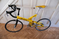 Airnimal Chameleon Folding Bike