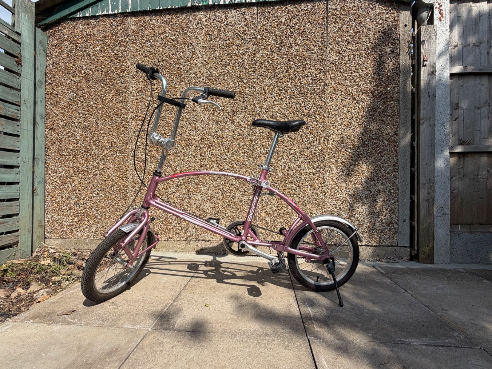 Big Fish Carnelli Folding bike