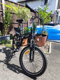 Folding Bike Unisex Adults