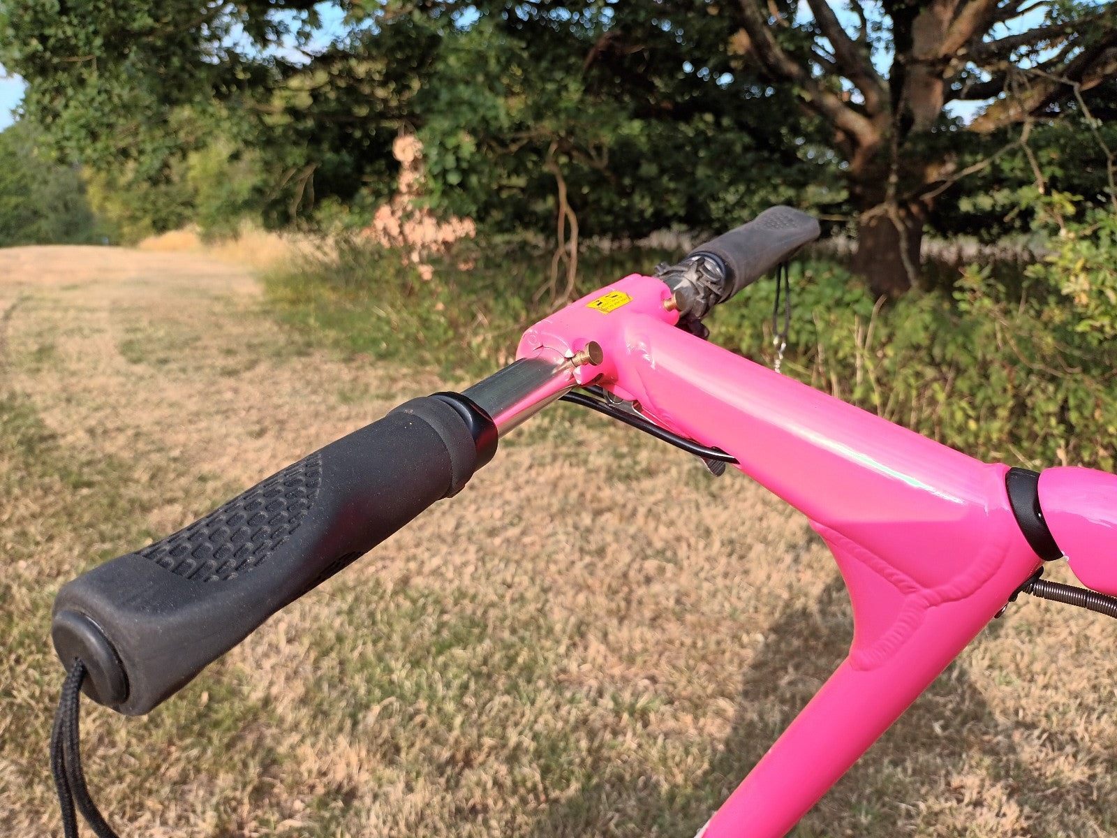 Strida LT Belt Drive Folding Bicycle, 2020, PINK, Disc Brakes, Made in Taiwan