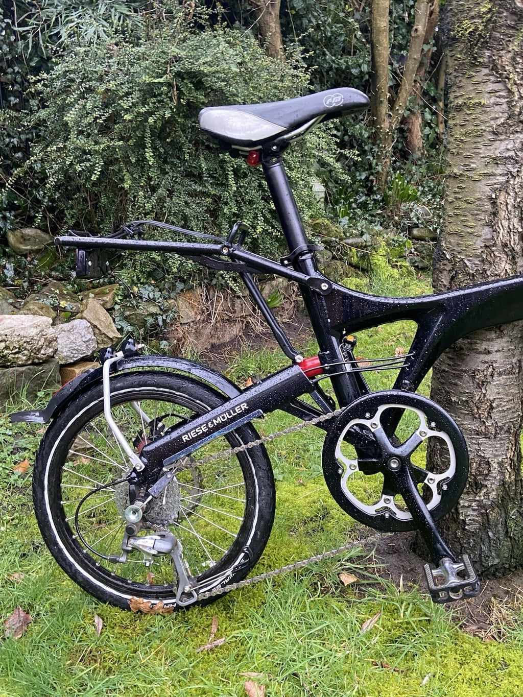 Riese and Müller Birdy Folding Bike