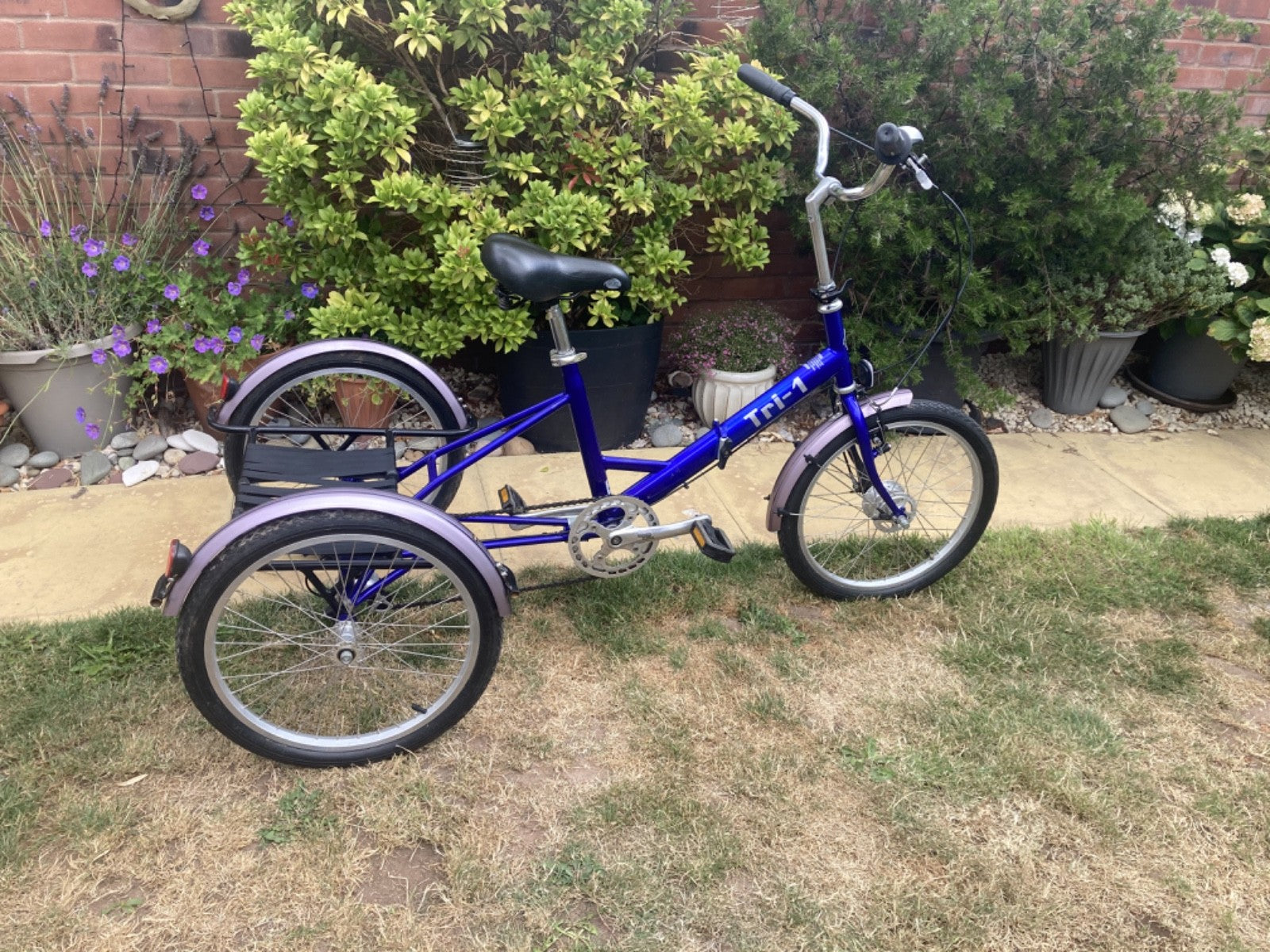 PASHLEY - Tri-1 Folding Adult Trike Blue